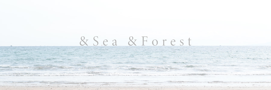 美しい地球を次世代へ〜&Sea&Forest〜